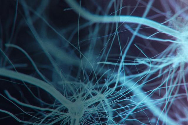 Neurons firing