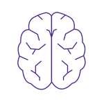 Outline of a brain. 