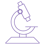 Outline of microscope. 